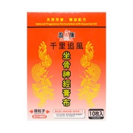 盈康 - 坐骨神經膏布11X15CM (十片裝)