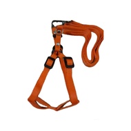 Cat, ferret, rabbit body harness 2 meterTALI