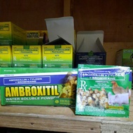 AMBROXITIL POWDER 5gms