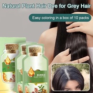Natural Plant Hair Dye, Bubble Plant Hair Dye, Plant Bubble Hair Dye Shampoo, Pure Plant Extract for Grey Hair Color Bubble Dye, New Botanical Bubble Hair Dye