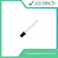Photodioda Photodioda IR Infrared Photodiode Receiver 940NM 5MM