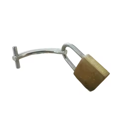 Custom Prince Albert Lock Male Chastity Device Stainless Steel CB Lock with PA Piercing Chastity Cag