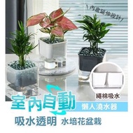 其他品牌 - 自動吸水透明水培花室內盆栽 小溫室 室內自動淋水盆栽 自動耍水 懶人盆栽 花盆 盆栽 塑膠盆 自動吸水不須每天澆水 風格簡約時尚美觀養殖自動吸水花盆（白色） 花盆 花架