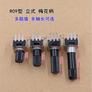 10PCS RV09 Type Vertical Adjustable Potentiometer B1K B2K B5K B10K B20K B50K B100K B500K B1M Adjusta