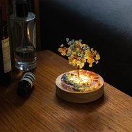 【Montagne】招財樹 | 綠東陵。黃水晶