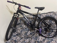 Specialized S-Works Mountain Bike