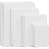 12pcs Paint Canvases For Painting, 8 X 10 Inches (20 X 25cm) Canvas Panels, White Blank Art Canvas B