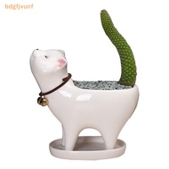 BDGF Succulent Pot Cat Shape Corrosion-resistant Ceramic Small Succulent Pot Ornament SG