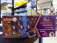 สายไฟขั้วห้อยระย้า โซล่าเซลล์ รุ่น WELFIRE V FIVE LIGHT พร้อมแผงโซล่าเซลล์ 10 เมตร 15 ขั้ว E12 ไฟประ