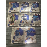 EPL PANINI MOSAIC 2021-22 - Everton Team Set Richarlison Tom Davies Alex Iwobi Mason Holgate