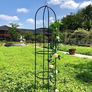 Wrought iron climbing pergola clematis column garden Round climbing pergola outdoor garden