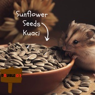 Sunflower Seed | Kuaci | Biji Matahari (Makanan Hamster/Burung Nuri/Parrot) (20kg)