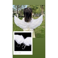 Feather wings | Fairy Wings | Angel wings | Duck feather wings | Chicken feather wings| Beautiful pr