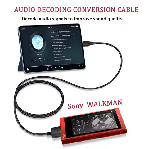 For Sony Walkman audio decoding cable,for NW-ZX1 XZ300A,WM1Z,ZX700,A306,Walkman Connect TYPE-C port 