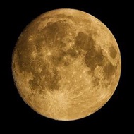 Canon LENS EF 600mm F4 佳能鏡頭 大砲 長焦鏡頭 望遠鏡頭 定焦鏡 拍月亮