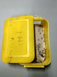 Pengendali Hama Buah Kakao Coklat - Feromon Perangkap CPB Lure