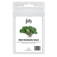 Gardening Seeds Fatty Seeds – Red Russian Kale Vegetable Seeds