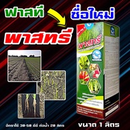 ฟาสที 1 ลิตร 💥 ฮอร์โมนสูตรเข้มข้น เร่งราก บำรุงราก บำรุงดิน หน่อเขียว รากขาว เร่งต้น แตกยอด บำรุงใบ แตกกอ กระตุ้นราก แก้ปัญหาดินเสีย ใบเงาสด ฟื้นฟูต้นโทรม # ฮิมมิค B1 ไร่เทพ ลั่นทุ่ง 4tree บอนสี กระท่อม ไม้ดอก ไม้ประดับ ข้าว