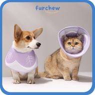 [SG] Pet Recovery E Collar Cone for Dogs and Cats - Elizabeth’s Soft Cone for Pets - Orange & Purple
