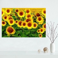 Frames Sunflower Canvas Painting Poster Canvas Wall Art Prints Pictures for Living Room Home Corrido
