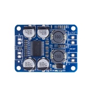 Power Amplifier Class D 60Watt Mono TPA3118