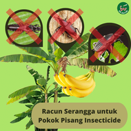 Racun Serangga Organik terbaik untuk Pokok Pisang Pengorek Umbi Ulat Cacing Dipel ES 1L Racun Biologi dari Jepun (Japan Technology)