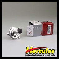 Biolight - H4 12V 100/90W