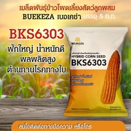 BKS6303 เมล็ดพันธุ์ข้าวโพดเลี้ยงสัตว์ลูกผสม BKS6303