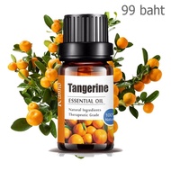 Aliztar 100% Pure Tangerine Essential Oil 10 ml. น้ำมันหอมระเหยส้มเขียวหวานแท้ สำหรับอโรมาเทอราพี เตาอโรมา เครื่องพ่นไอน้ำ ผสมน้ำมันนวดผิว ทำเทียนหอม