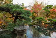京都南禪寺八千代日式旅館Kyoto Nanzenji Ryokan Yachiyo