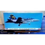 FA-18 C Hornet " VFA - 191Golden Dragons 2007"
