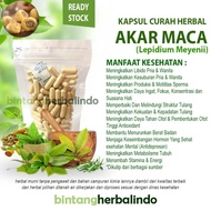 Akar MACA 100 kapsul curah herbal stamina libido kesuburan hormon pria