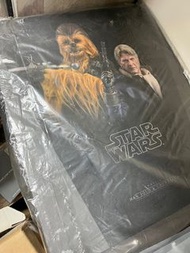 Hottoys MMS376 Han Solo & Chewbacca