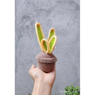 Crochet Snake Plant in a Pot