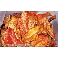 10 Dried Almond Leaves for Beta and Guppy Fish