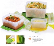 Tupperware Cozy Nest (3)