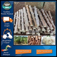 Tukuyuu Bibit Pohon Singkong/Ketela Ketan (Catting) Paling Murah Di Jamin Hidup " Bahan Olahan