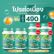 Sea buckthorn แบรนด์ มีมาย์เมด ลดกรดไหลย้อน แน่นหน้าอก จุกเสียด (1กระปุก30แคปซูล)