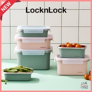 LocknLock Cozy Stainless Steel Food Container | Airtight | 400ml–2L  | 6 Sizes