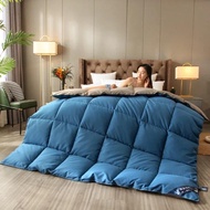 New Double Color White Goose Down Quilt for Five Star Hotels Four Seasons Down Quilt Core Winter Hom