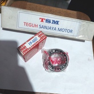 Original Federal FP-6007 6007 Bearing Original