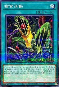 遊戲王 捕食活動 SUB1-JP040 NPR