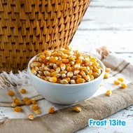 Jagung Pipil Kering Popcorn / Popping / Pop Corn / Berondong 500g