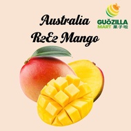Australia R2E2 Mango 澳洲芒果 Pcs / 粒 | 新鲜水果 | Fresh Fruit | Health | Recipe