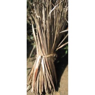 daun kelapa kering 1 kg /blarak kering