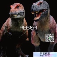 【店長推薦】REBOR科學暴龍霸王龍侏羅紀PVC恐龍模型玩具收藏擺件