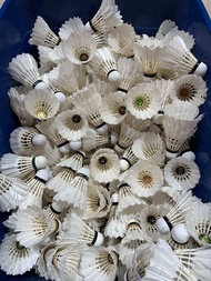 Used / Training Shuttlecock 二手训练羽球 Bulu Tangkis Training