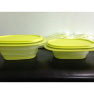 Tupperware Go Flex Rectangular (1)