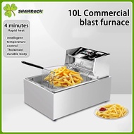 Double Deep Fryer Electric Stainless Steell Deep Oil Fryer Single Electric Fryer (6Liters/12Liters)