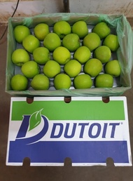 US Apel Hijau Granny Smith Africa 1 Dus (18 KG) Fresh Import